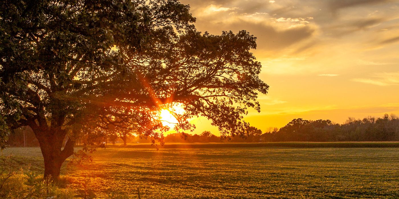 Overwhelming Sorrow Into Precious Eternal Love: Melbourne’s Premier Memorial Craftsmen