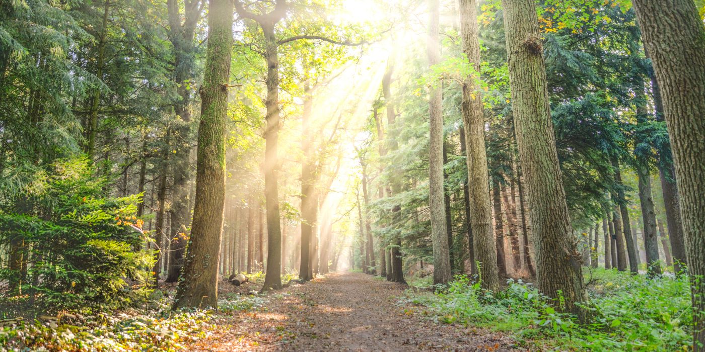 Overwhelming Sorrow Into Precious Eternal Love: Melbourne’s Premier Monuments