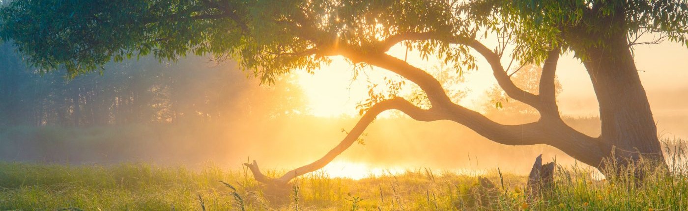 Overwhelming Sorrow Into Precious Eternal Love: Melbourne’s Premier Memorial Craftsmen